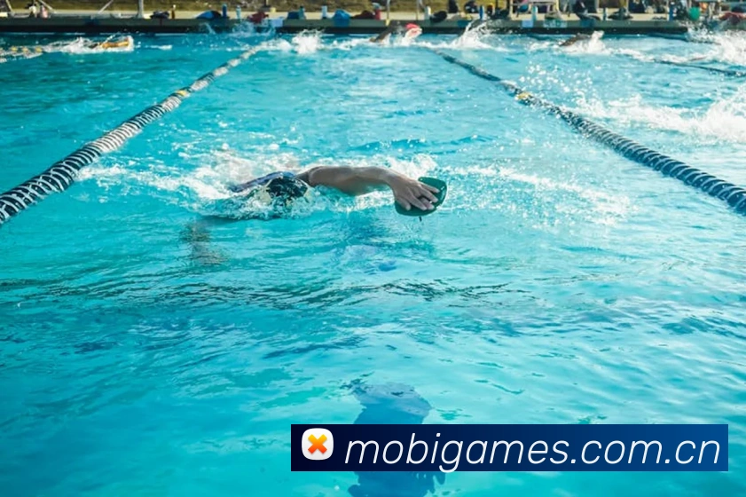 安博站官网入口服务体系