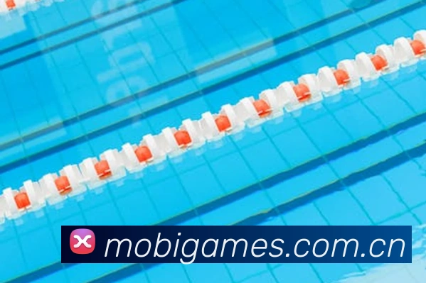 多媒体互动体验